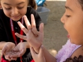 Sarela GabaldÃ³n, left, and Ani JimÃ©nez hold earthworms inside the Davis Bilingual Mangnet School's garden in Tucson, Ariz. on Wednesday, Feb. 25, 2015. The first grade class gets to spend 3o minutes observing plants and growing plants. Photographed by Noelle Haro-Gomez