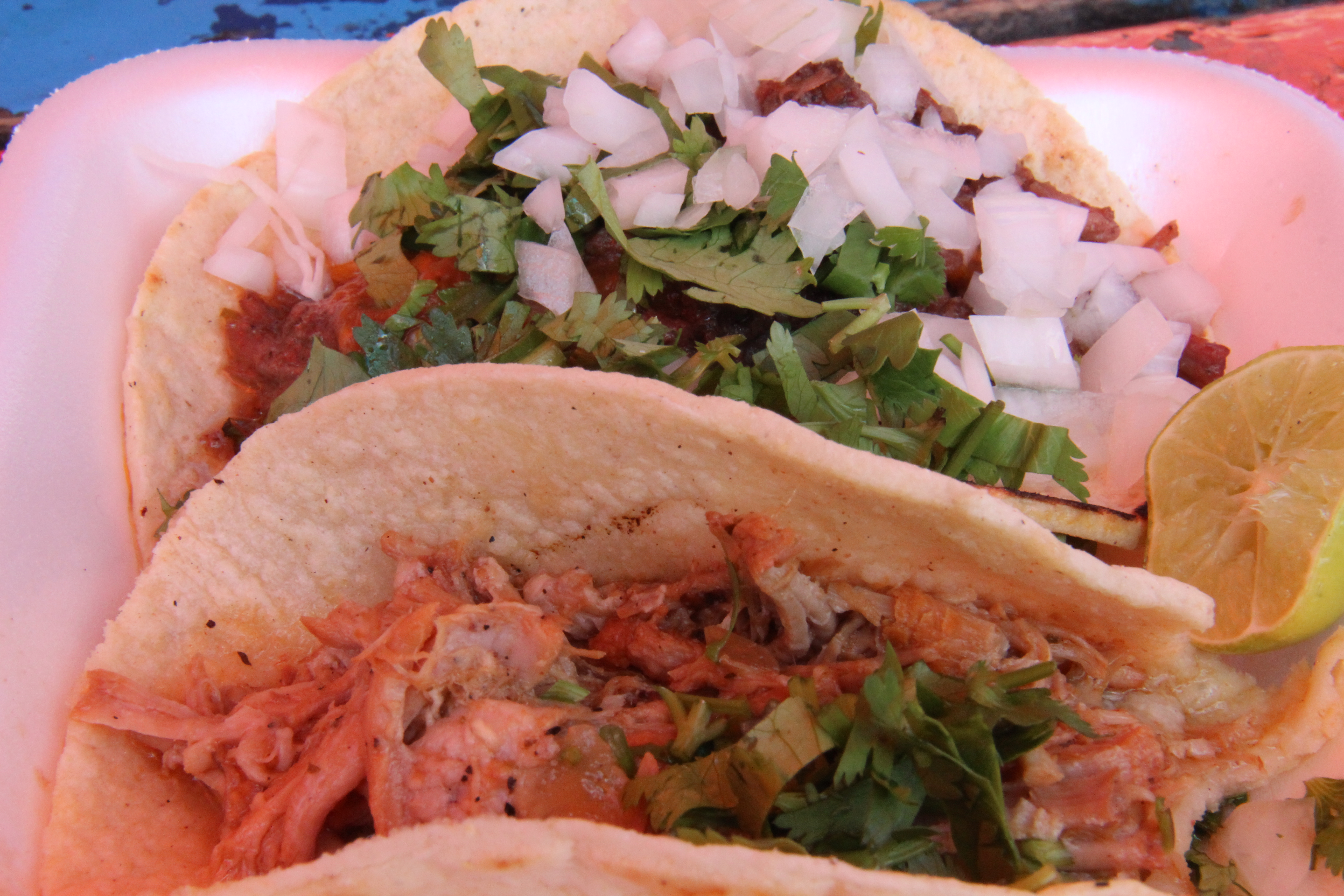 Street Tacos (Photo By: Sarah Pelfini Arizona Sonoran news Service)