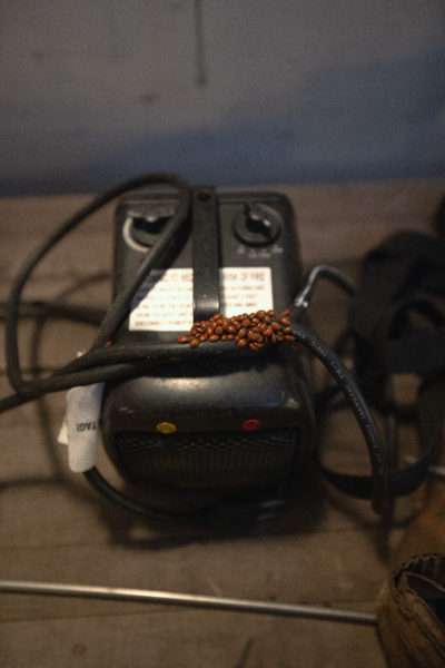 Because of Mount Lemmon’s altitude, large groups of ladybugs tend to clump around different areas of the telescope domes. As for other guests found in different telescope domes, fellow astronomer Steve Larson once found a western spotted skunk in the adjacent dome.