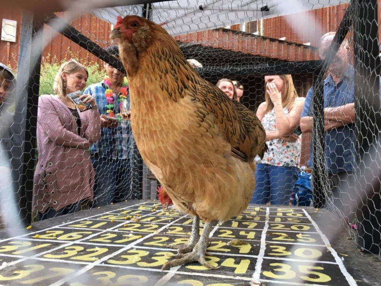 Yes, Chicken Poop Bingo is a thing and it’s for a good cause.